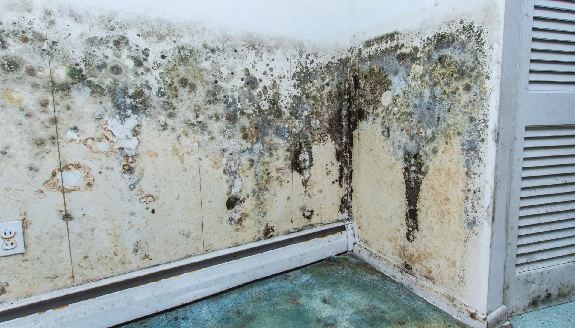 Professional mold removal, odor control, and water damage restoration service in Pittsburgh, Pennsylvania.
