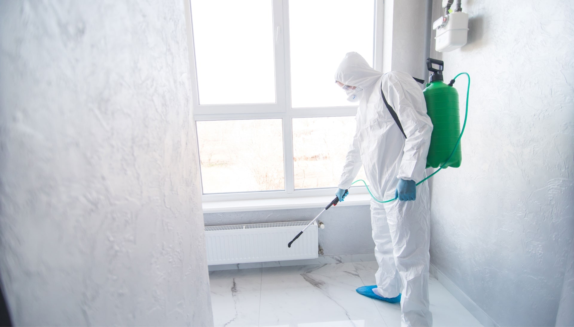 We provide the highest-quality mold inspection, testing, and removal services in the Pittsburgh, Pennsylvania area.